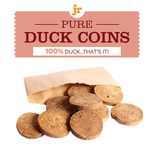 JR Pure Duck Coins (Single)
